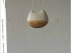 木村のぞみ個展『朝を望む』